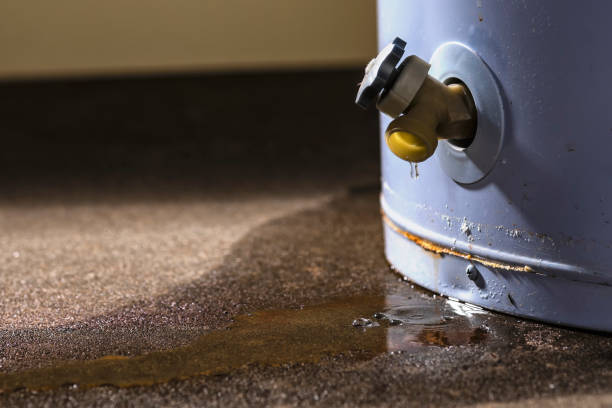 Best Fire Damage Restoration  in Chaffee, MO