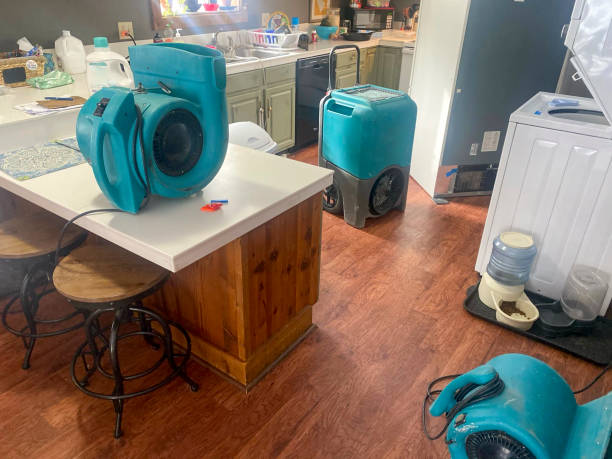 Best Local water damage restoration  in Chaffee, MO