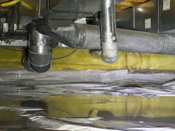 Best Commercial water damage restoration  in Chaffee, MO