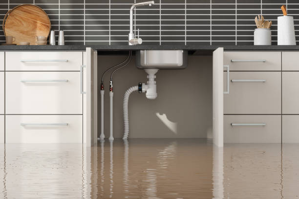 Best Commercial water damage restoration  in Chaffee, MO