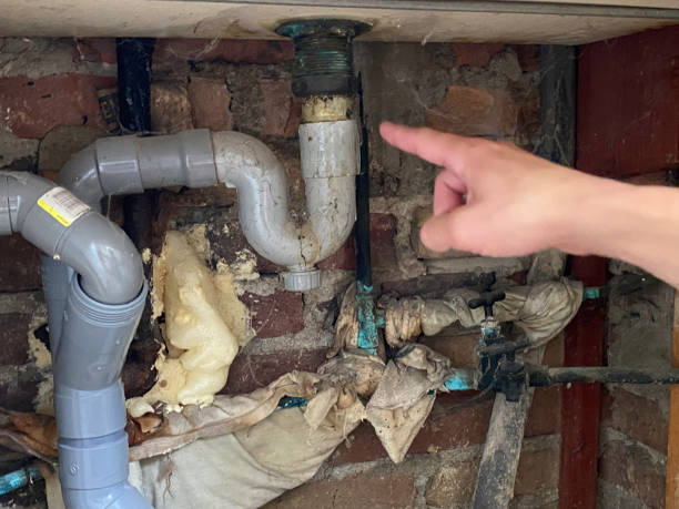 Reliable Chaffee, MO Water damage restoration Solutions