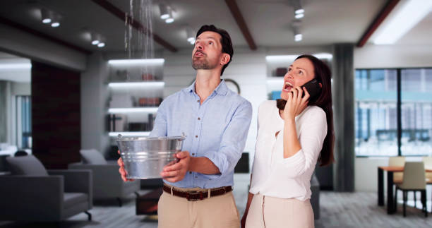 Best Flood damage cleanup  in Chaffee, MO